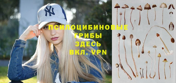 мяу мяу мука Балабаново
