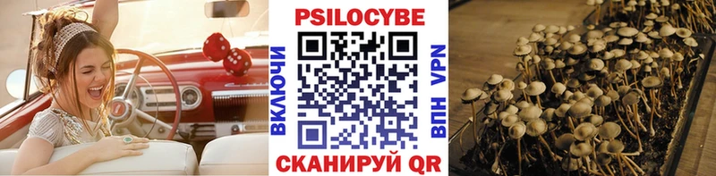 Псилоцибиновые грибы GOLDEN TEACHER  Новый Оскол 