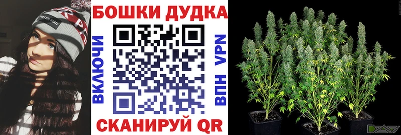 Бошки марихуана MAZAR  купить закладку  Новый Оскол 